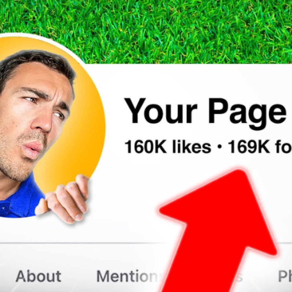 782I will provide Facebook page likes and followers at low cost